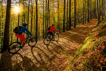 Zwei Radfahrer auf herbstlichem Waldweg mit Sonnenlicht zwischen hohen Bäumen