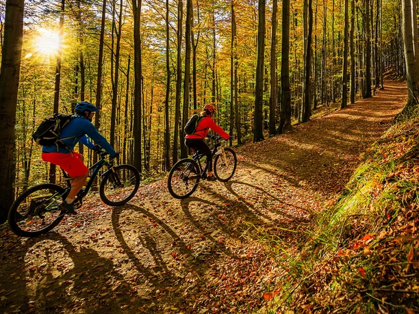 Herbst-Biketour Zwei Radfahrer auf herbstlichem Waldweg mit Sonnenlicht zwischen hohen Bäumen