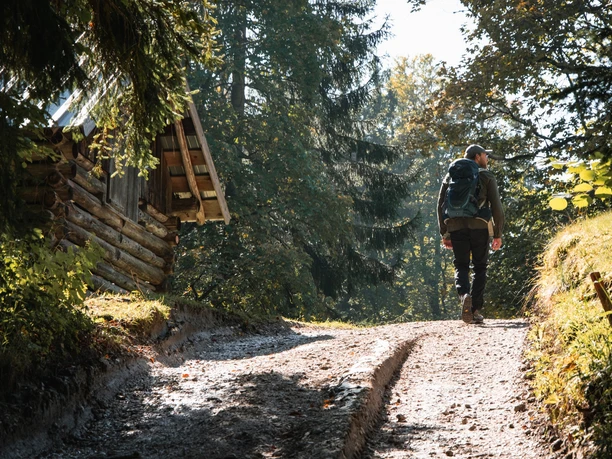 Hiketour Wanderer auf steinigem Waldweg neben einer kleinen Holzhütte im Sonnenlicht.