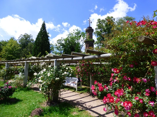 Die Pergola am Rosenweg