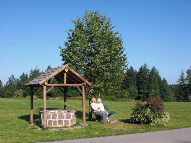 Brunnen auf dem Unteren Zwieselberg
