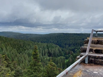 Ausblick Mandelberg-Turm