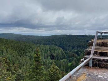 Ausblick Mandelberg-Turm