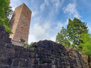 Ruine Mandelberg
