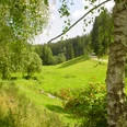Im Zinsbachtal bei Pfalzgrafenweiler