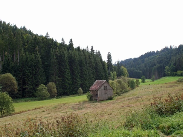 Im Zinsbachtal bei Pfalzgrafenweiler