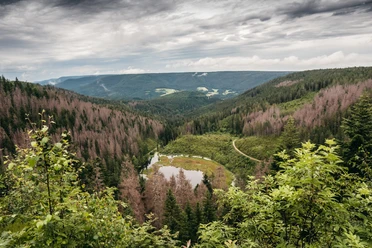 Huzenbacher Seeblick
