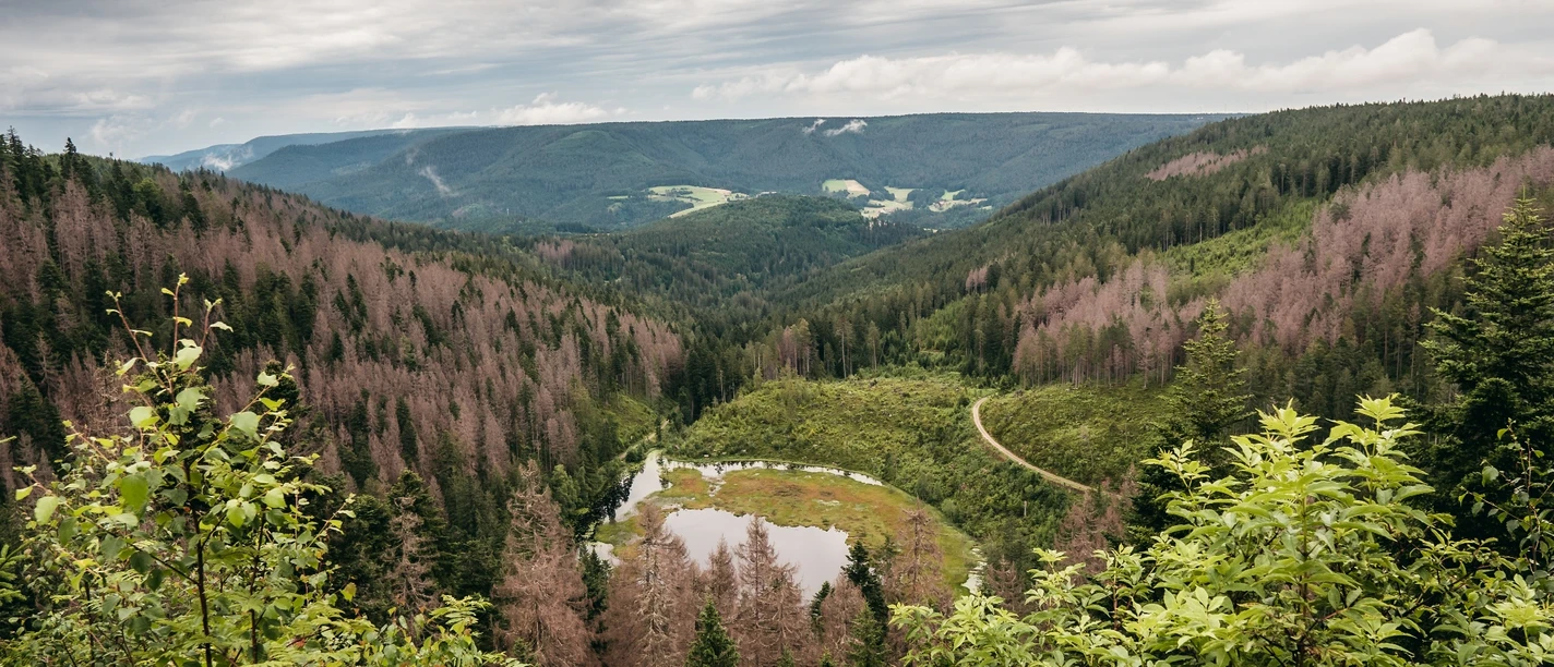Huzenbacher Seeblick