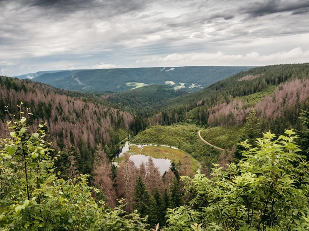 Huzenbacher Seeblick