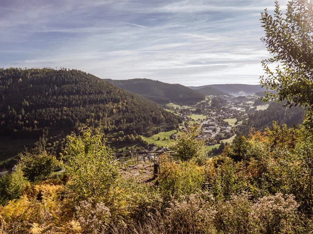 Blick auf Mitteltal vom Genussplatz Walterhütte