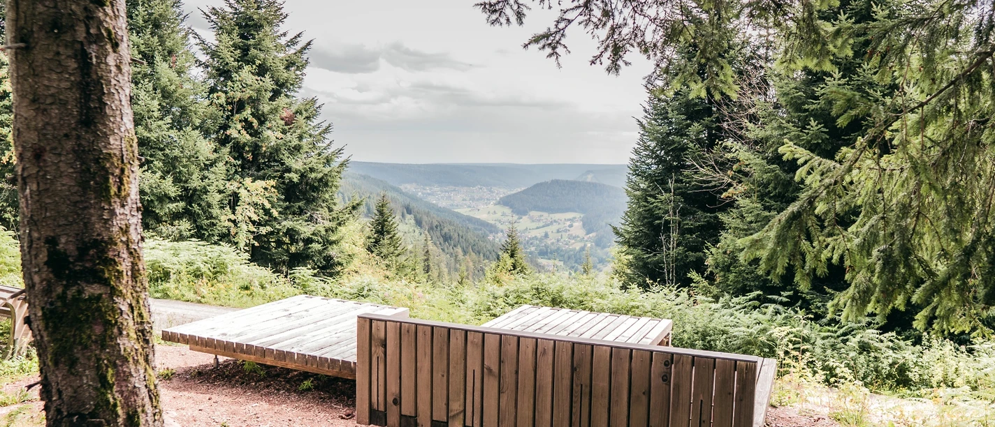 Genussplatz am Oberen Zinken in Tonbach