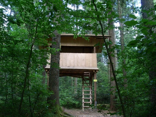 Das Baumhaus im Naturerlebnispfad Freudenstadt