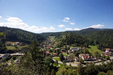 Blick auf Schönmünzach