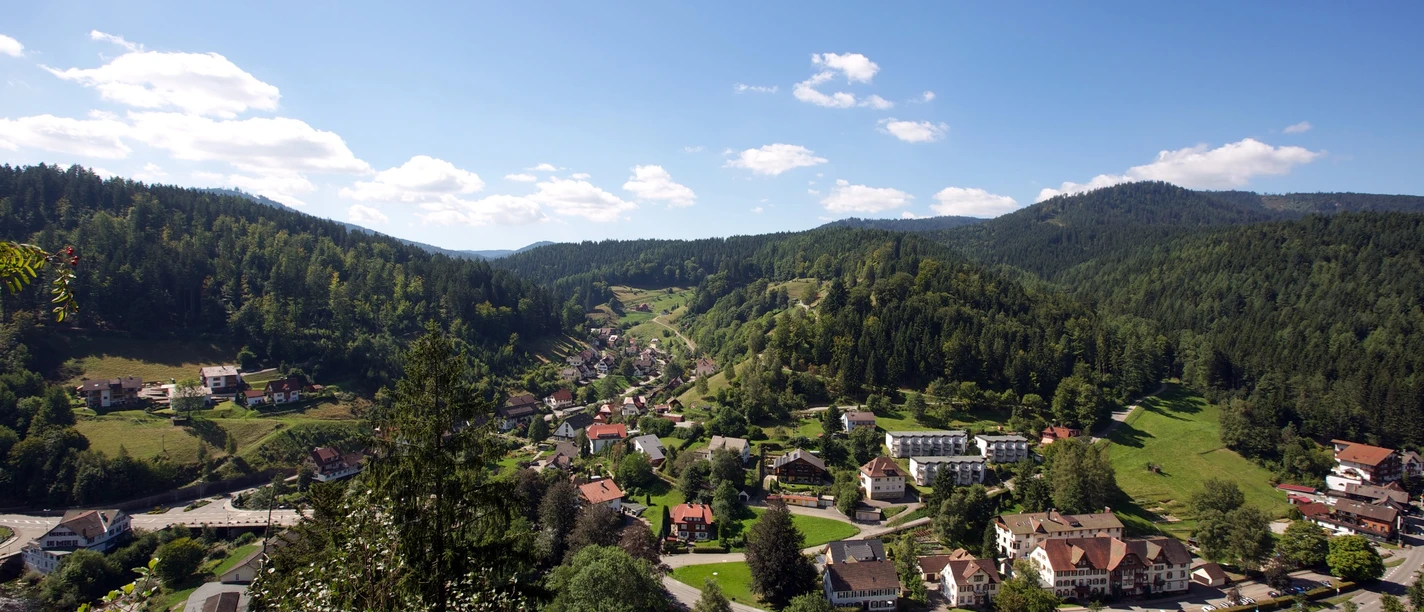 Blick auf Schönmünzach