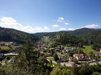 Blick auf Schönmünzach