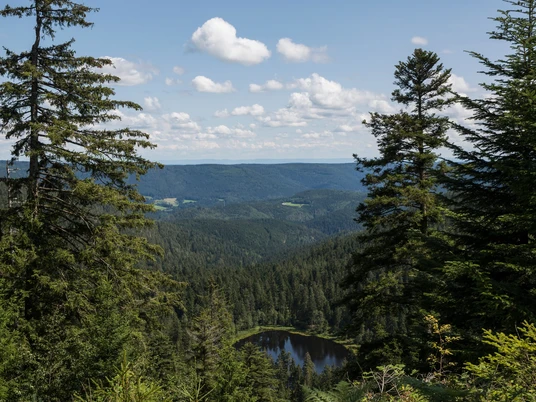 Blick auf den Schurmsee