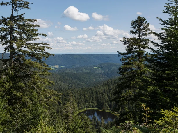 Blick auf den Schurmsee