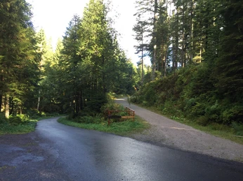 Rad- und Wanderweg an der Quelle