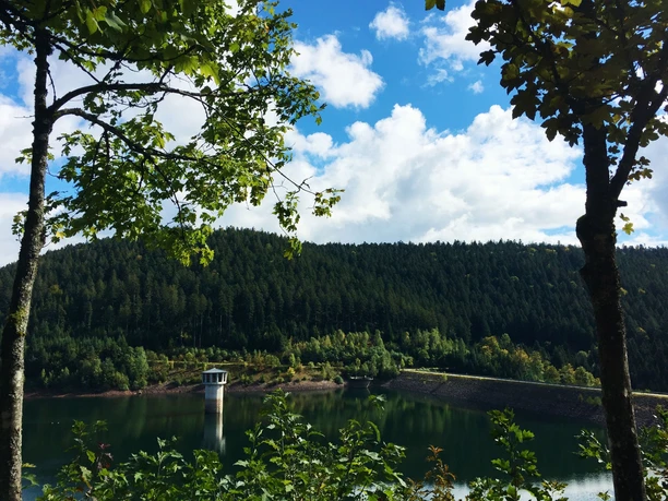 Aussichtspunkt Kinzigtalsperre