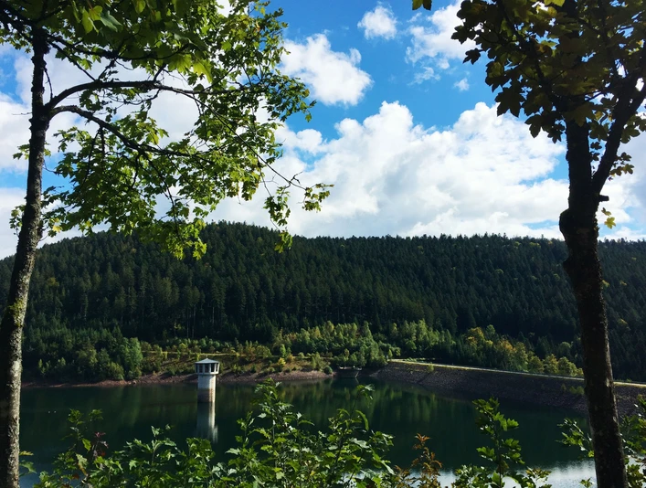 Aussichtspunkt Kinzigtalsperre