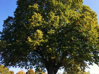 Aussichtspunkt Wittendorf am Spielplatz