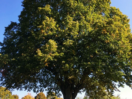Aussichtspunkt Wittendorf am Spielplatz