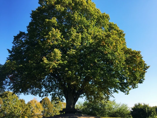 Aussichtspunkt Wittendorf am Spielplatz