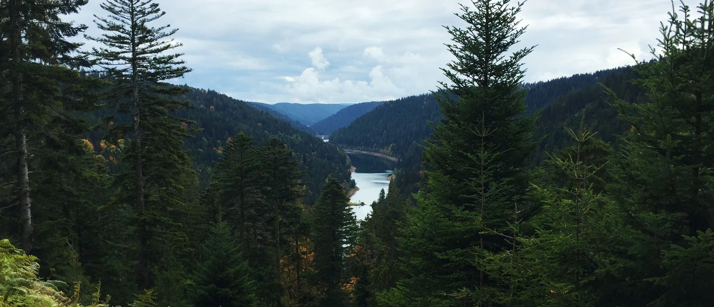 Aussicht auf die Kinzigtalsperre