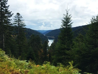 Aussicht auf die Kinzigtalsperre