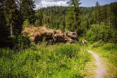 Pudelstein in Tonbach