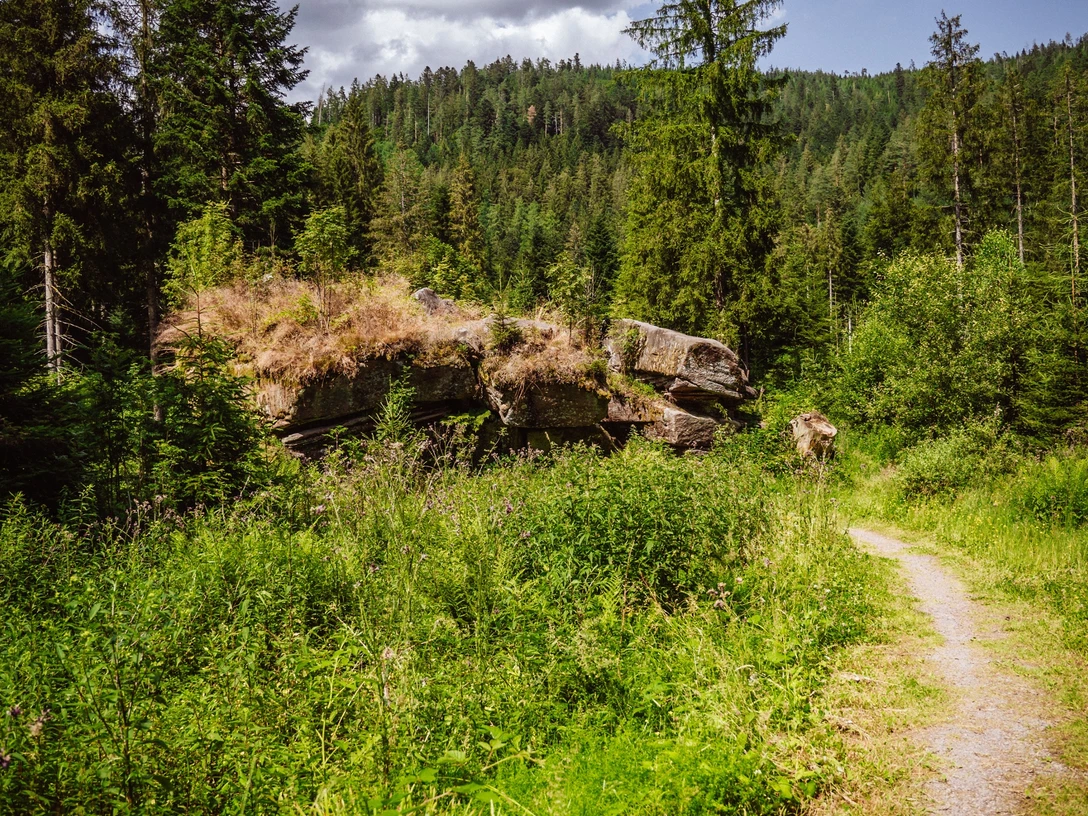 Pudelstein in Tonbach