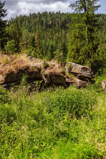 Pudelstein in Tonbach