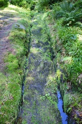 Alter Gleisweg