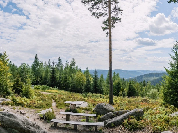 Aussicht am Priorstein