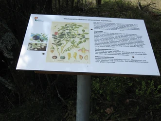 Infotafel