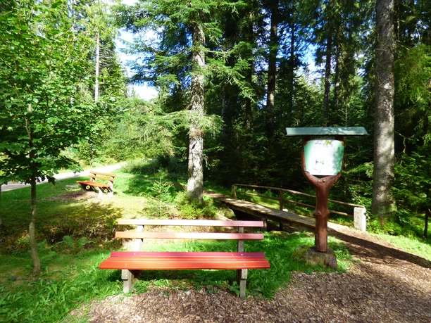 Die Forbachquelle in Kniebis