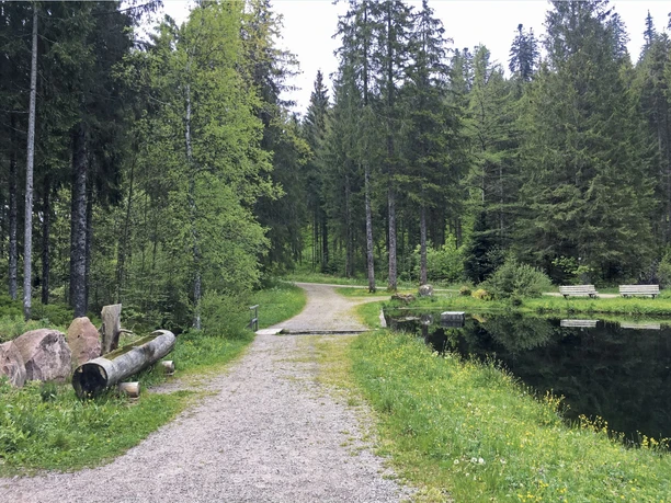 Langenbrunnenweiher
