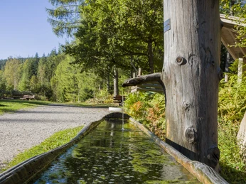 Brunnen beim Grillplatz am Langbrunnenweiher