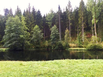 Grillplatz Langenbrunnenweiher