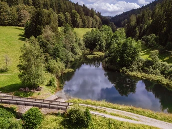Märtesweiher in Klosterreichenbach