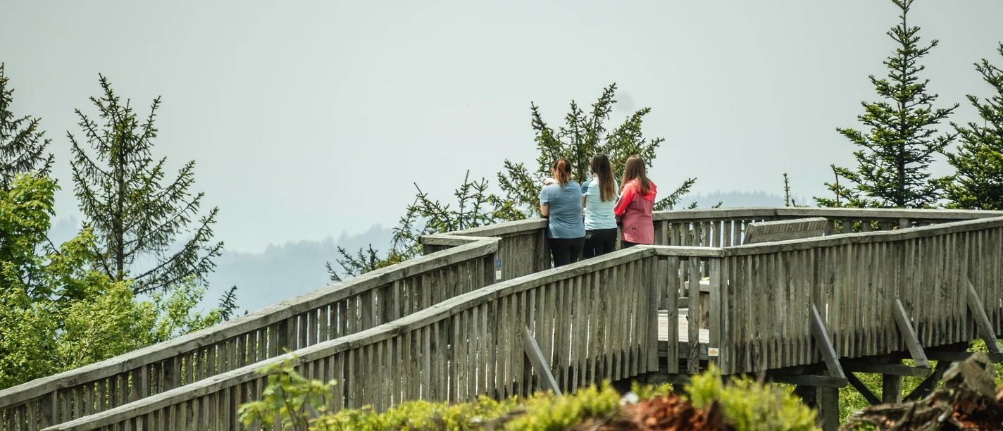 Aussichtsplattform Steinmäuerle