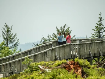 Aussichtsplattform Steinmäuerle