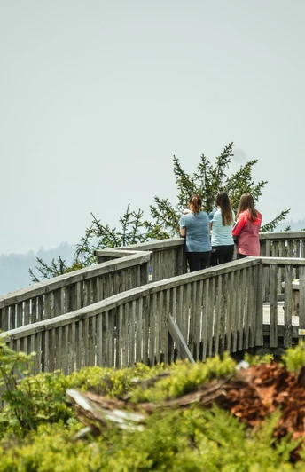 Aussichtsplattform Steinmäuerle