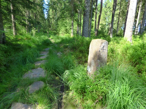 Grenzweg zwischen Mooswiese und Auerhahnköpfle