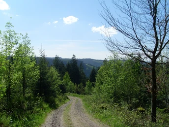 Ausblick oberhalb der Birkleshütte Richtung Stöckerkopf