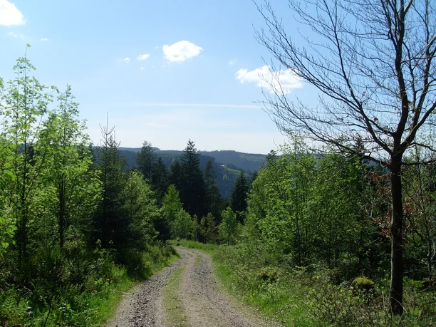 Ausblick oberhalb der Birkleshütte Richtung Stöckerkopf