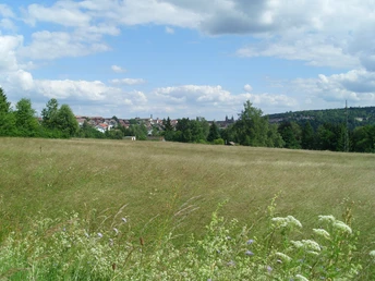 Blick Richtung Süden auf Freudenstadt