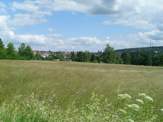 Blick Richtung Süden auf Freudenstadt
