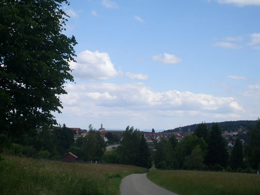 Blick vom Heideweg Richtung Freudenstadt