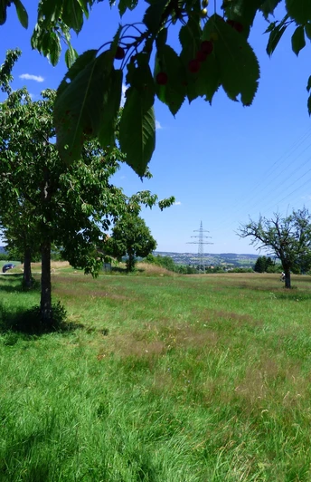 Bärenwiesen Freudenstadt